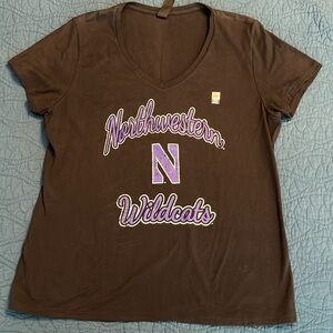 Northwestern Wildcats Hanes Sz L v-neck -t-shirt; never worn-NWOT